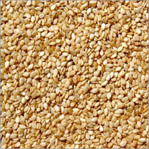 Sesame Seeds