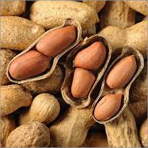 Organic Peanuts
