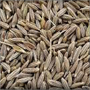 Cumin Seeds