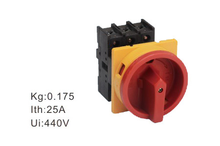 CAM SWITCHES