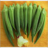 Hybrid Okra Seeds