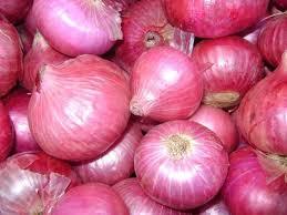 High Quality Fresh Onions
