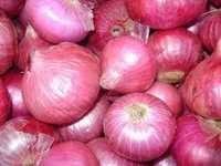 High Quality Fresh Onions