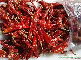 Dried Red Chillies