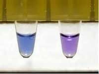 Hydroxy Napthol Blue