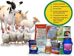 Veterinary Products