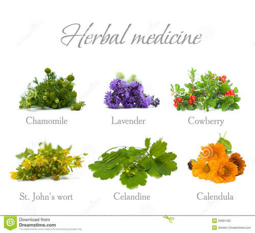 Herbal PCD Opportunites