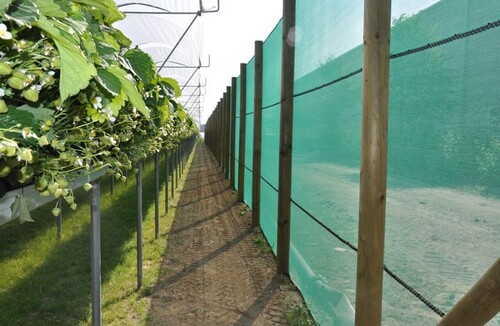 Uv Farm Border Shade Net