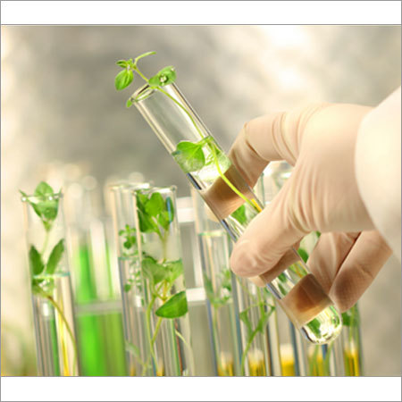 Tissue Culture Grade Gellan Gum
