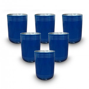 Double wall Stainless Steel Silver lining tumbler