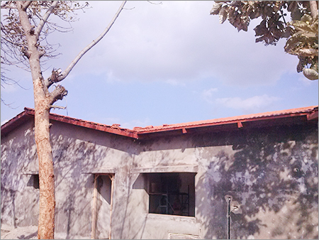 Domestic Roofing System