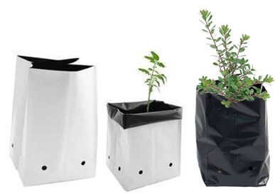 NURSERY BAGS