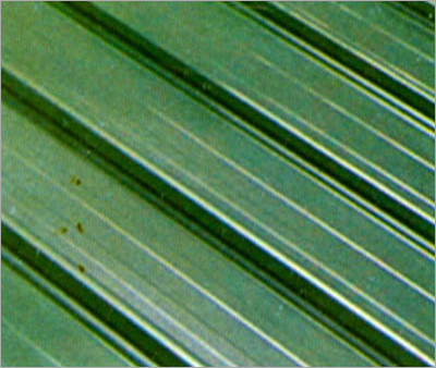 Clip Lock Roofing System