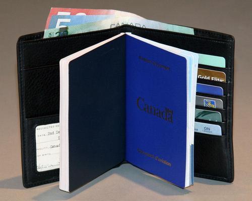 Passport Cover cum Wallet