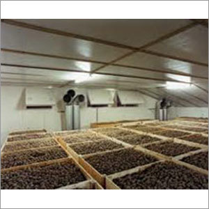 Potato Cold Storage