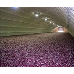 Onion Storage Plant