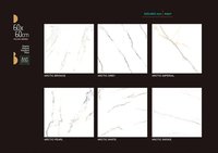 Polished Porcelain Tiles <24x24>
