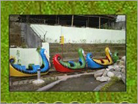 Duck Train