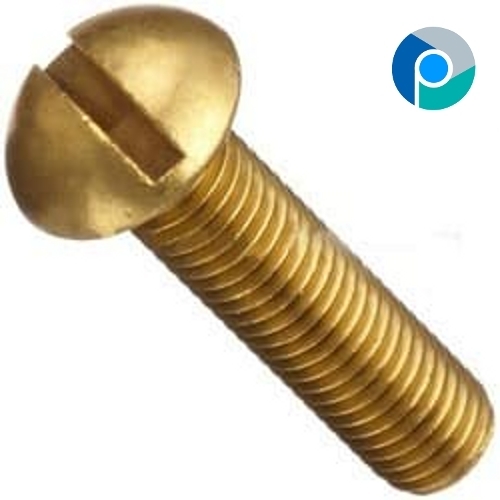 Brass Slotted Bolt