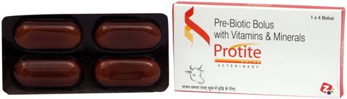Ruminal Bolus with the Features of Vitamins & Minerals