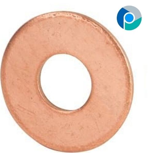 Polished Silicon Bronze Flat Washers