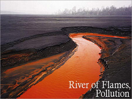 Books on River Pollution