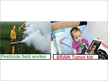 Books On Brain Tumor