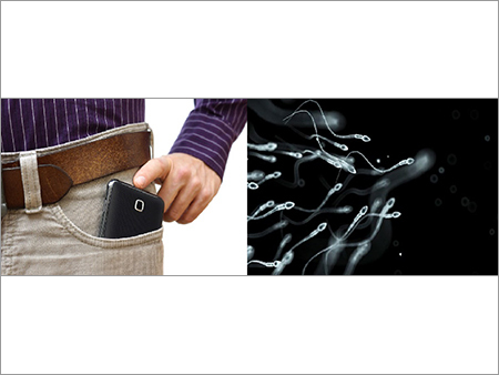 Books On Mobile And Sperm