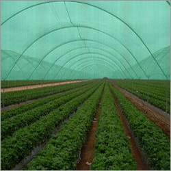 Protective Agricultural Net Protective Agricultural Net