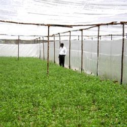 Agricultural Floriculture Net Agricultural Floriculture Net