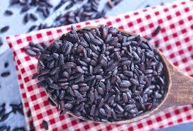 Purple Rice Extract Anthocyanidins 5-25%