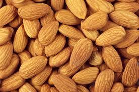 Sweet almond