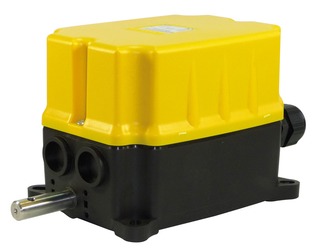 Rotary Limit Switch