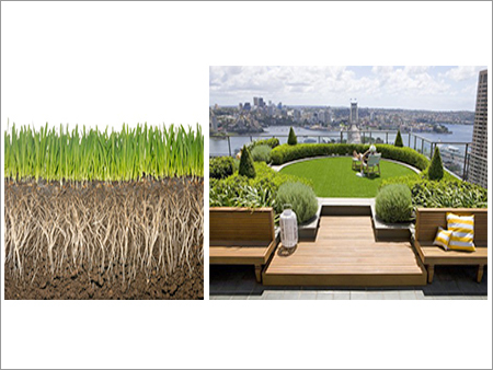 ECA For Roof Gardening