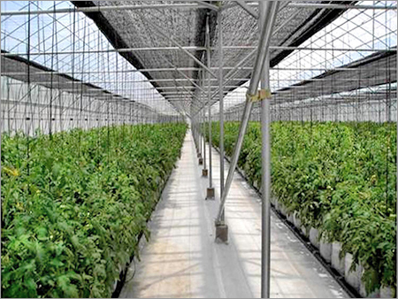 Lightweight Eca For Greenhouse