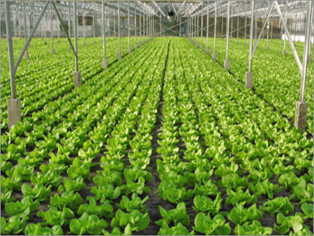 Horticultures