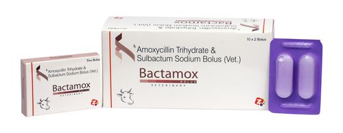 Amoxycillin & Sulbactam Bolus