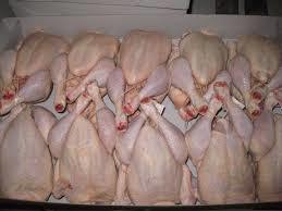 BRAZILIAN HALAL GRADE A FROZEN CHICKEN AND PARTS