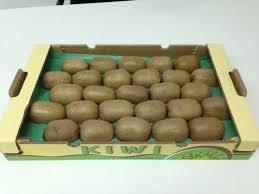 Fresh Kiwi Fruit Grade A