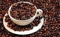 Coffee Beans - Premium Arabica Variety, Rich Flavor Profile and Natural Aroma