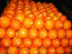 Sweet Mandarin Orange