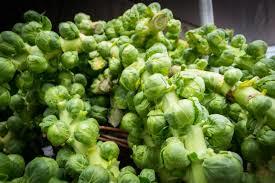 FRESH BRUSSELS SPROUT