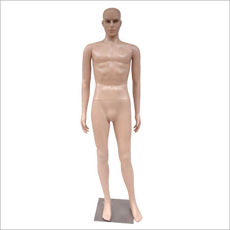 Male Mannequin
