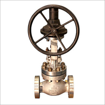 Globe Control Valves