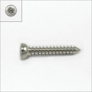 Silver Ortho Cortical Screw