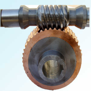 Worm Gear Assembly