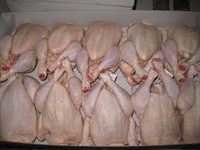 Grade A Halal Whole Chicken