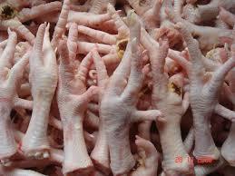 frozen Pawa chicken For Sale /processed frozen chicken feet /whole chicken