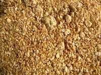 Best Price Groundnut Meal For Animal Feed