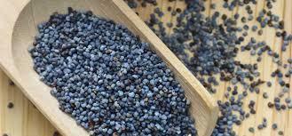 Qaulity Blue/White Poppy Seeds By ABBAY TRADING GROUP, CO LTD